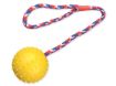 Obrázek Hračka TRIXIE míč gumový na provaze 30 cm 