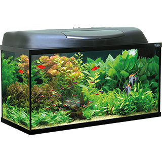Obrázek pro kategorii Aquael skleněná akvária