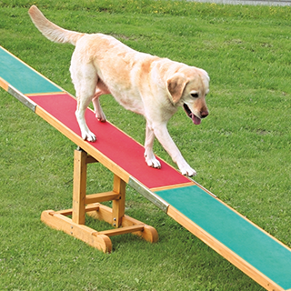 Picture for category Trixie agility toy