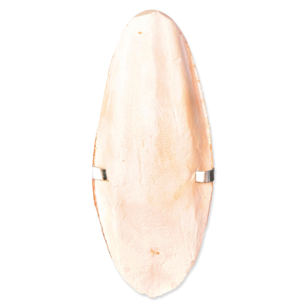 Kost sépiová TRIXIE s držákem 12 cm 