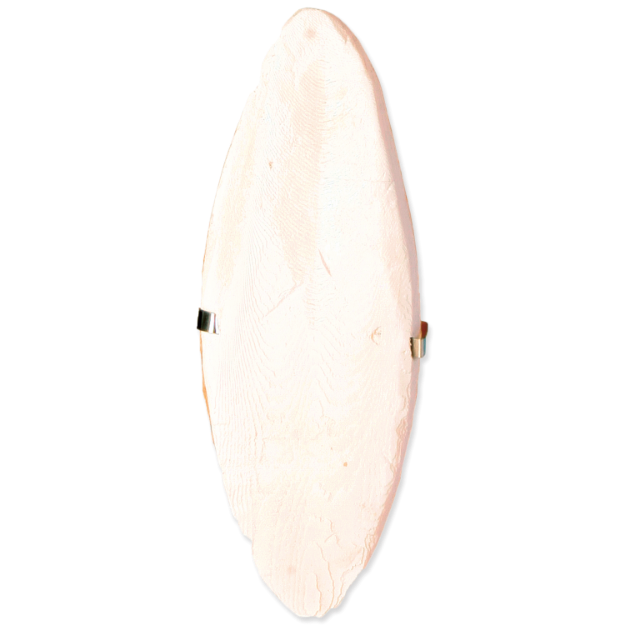 Kost sépiová TRIXIE s držákem 16 cm 