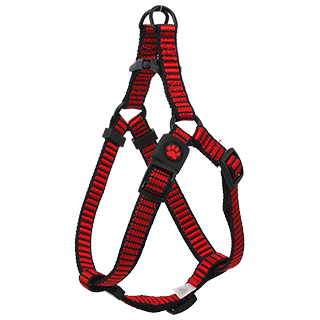 Picture for category Activ Dog Premium - harnesses