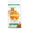 IAMS Dog Adult Large Lamb 3kg