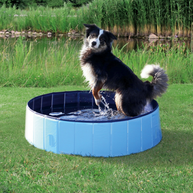 Bazén TRIXIE pro psy svetle modrý 120 cm 