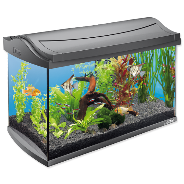 Akvárium set TETRA AquaArt LED 57 x 30 x 35 cm 60l