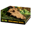 Obrázek Dekorace EXO TERRA krokodýlí lebka 
