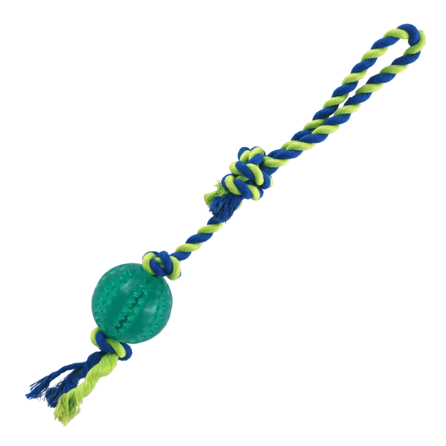 Obrázek Hračka DOG FANTASY DENTAL MINT míček házecí s provazem smyčka zelený 7x50cm