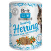 Obrázek BRIT Care Cat Snack Superfruits Herring with Sea Buckthorn  100 g