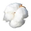 Obrázek Materiál SMALL ANIMALS hnízdící bavlna 